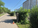 В Астрахани продолжаются работы по опиловке и обрезке деревьев и кустарников