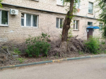 Жители Астрахани обеспокоены угрозой пожара из-за неубранных сухих веток после опиловки
