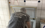 В Астрахани возбуждено уголовное дело после массового отравления сальмонеллезом