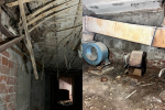 collage (1)