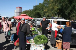 Астрахань приняла масштабный агрофестиваль, объединивший тысячи гостей и десятки производителей
